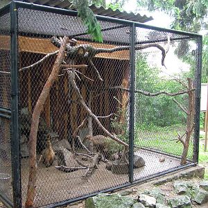 Coati exhibit at Vyskov, 30/05/10