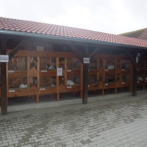 Rabbit Hutches at Vyskov, 30/05/10
