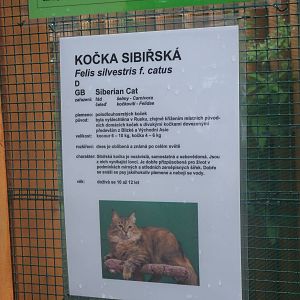 Signage example at Vyskov, 30/05/10