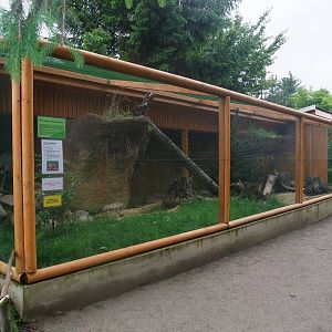 Outdoor Cat exhibit at Vyskov, 30/05/10