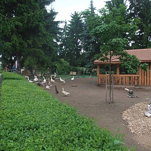 Waterfowl pen at Vyskov, 30/05/10