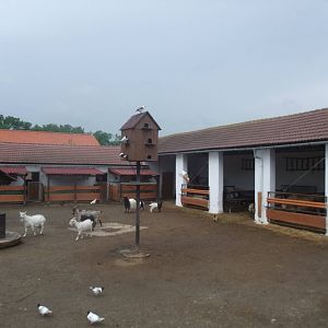Farmyard petting area at Vyskov, 30/05/10