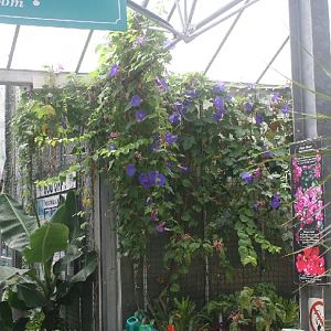 Inside the conservatory