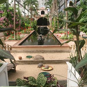 Inside the conservatory