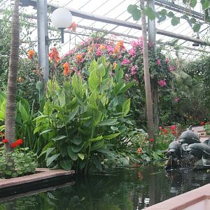 Inside the conservatory