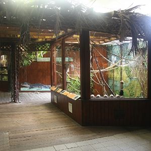 Tamarin enclosure