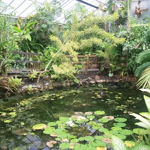 Inside the conservatory