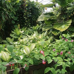 Inside the conservatory