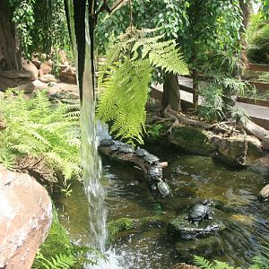 Inside the conservatory