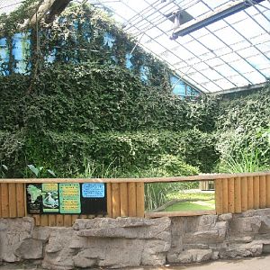 Ringed Teal enclosure