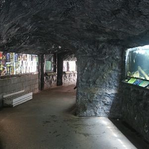 aquariums