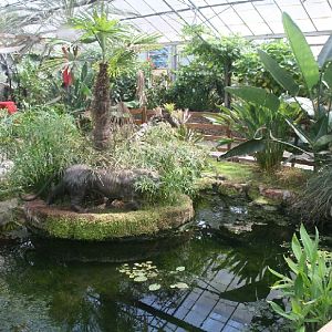 Palms Tropical Oasis gardens