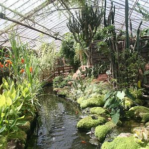 Palms Tropical Oasis gardens