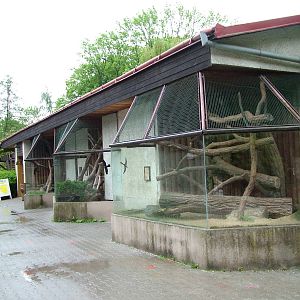 Cat House at Jihlava, 31/05/10