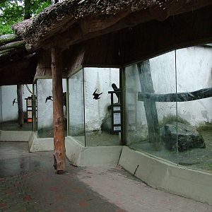 Monkey House at Jihlava, 31/05/10