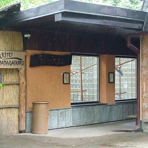Lemur Housing at Jihlava, 31/05/10