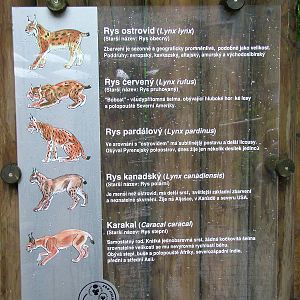 Signage at Jihlava, 31/05/10