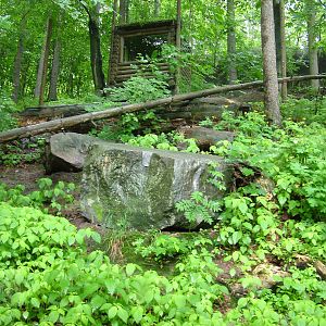 Lynx exhibit at Jihlava, 31/05/10