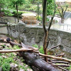 Sun Bear exhibit at Jihlava, 31/05/10