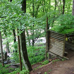 Lynx exhibit at Jihlava, 31/05/10