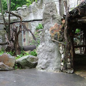 Small Cat exhibit at Jihlava, 31/05/10