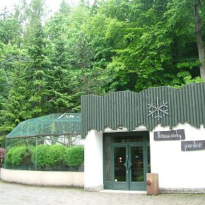 Amazon House at Jihlava, 31/05/10