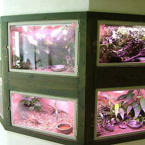 Amphibian exhibits at Jihlava, 31/05/10