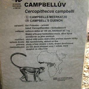 Signage example at Jihlava, 31/05/10