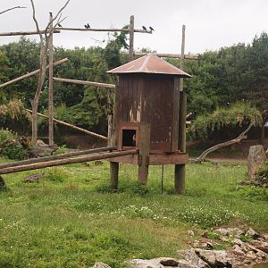 shelters on macaque island