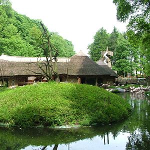 Flamingo exhibit at Jihlava, 31/05/10