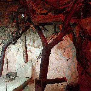 Nocturnal Hut Interior at Jihlava, 31/05/10