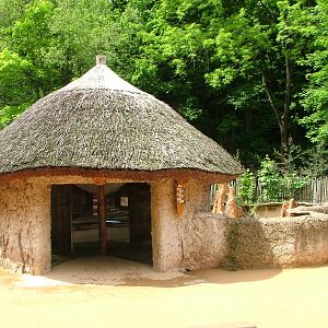 African Village at Jihlava, 31/05/10