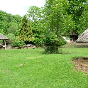 South American paddock at Jihlava, 31/05/10
