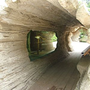 Bear viewing at Jihlava, 31/05/10