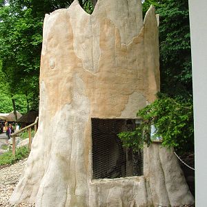 Little Owl aviary at Jihlava, 31/05/10