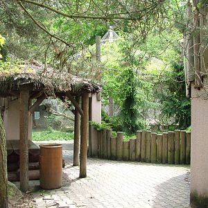 Snow Leopard exhibit at Jihlava, 31/05/10