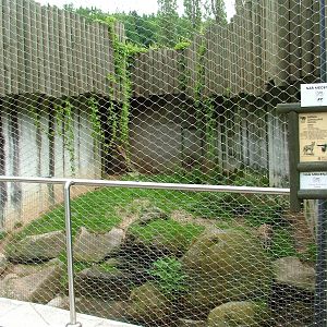 Serval outdoor exhibit at Jihlava, 31/05/10