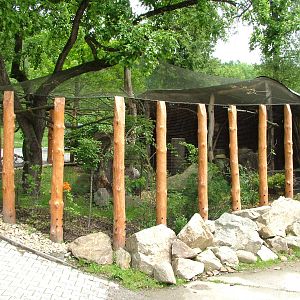 African Aviary at Jihlava, 31/05/10