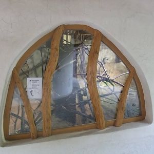 Cloud Rat and Tree Shrew exhibit at Jihlava, 30/05/10