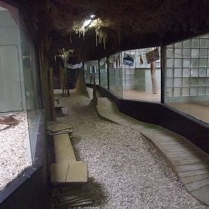 Cat House interior at Jihlava, 30/05/10