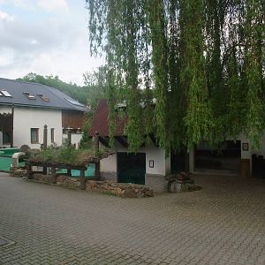 Seal exhibit at Jihlava, 30/05/10