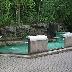 Otter exhibit at Jihlava, 30/05/10