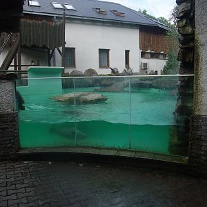 Seal Exhibit at Jihlava, 30/05/10