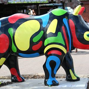 Rhino Mania @ Entrance to Chester Zoo