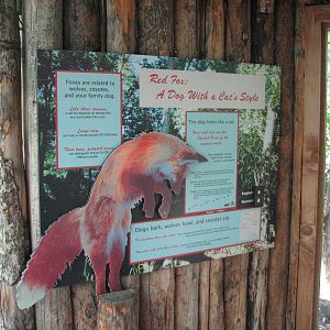 Red Fox Signage