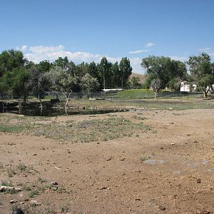 Grassland Exhibit - Bison, Elk, Deer, Pronghorn