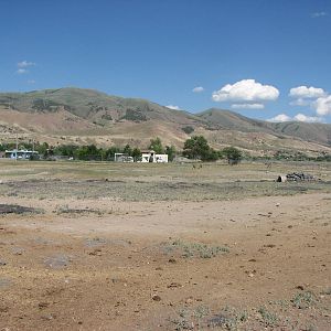 Grassland Exhibit - Bison, Elk, Deer, Pronghorn