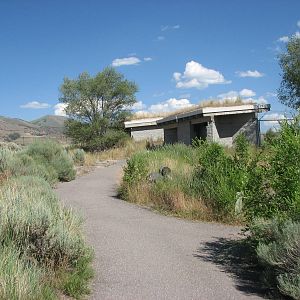 Coyote Exhibit - Viewing Shelter