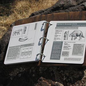 Pleistocene Dig Site Play Area