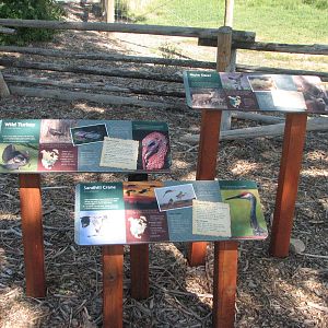 Signage - Mule Deer, Sandhill Crane, Wild Turkey